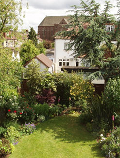 garden